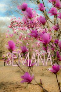 Buen Inicio De Semana Grupo Para Whatsapp Celular