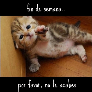 Buen Inicio De Semana Para Todos Para Whatsapp Celular