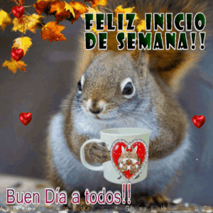 Buen lunes amor