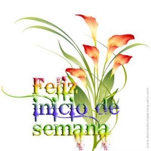Buen Lunes Feliz Inicio De Semana Para Whatsapp Celular