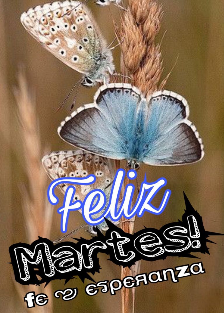 Buen Martes Amor