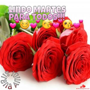 Buen Martes Chistoso para celular