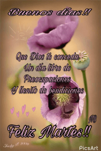 Buen Martes Frases Para Whatsapp Gratis