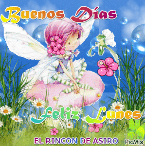 Buenas tardes feliz lunes