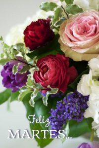 Bueno Dias Martes Para Descargar Gratis