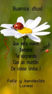 Buenos Días Feliz Lunes Para Whatsapp Gratis para celular