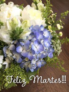 Buenos Dias A Todos Feliz Martes