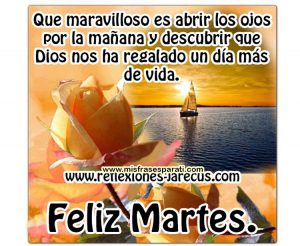 Buenos Dias Amigos Feliz Martes Para Descargar Gratis