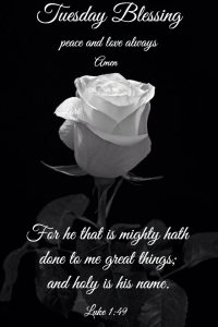 Buenos Dias Amigos Feliz Martes para celular