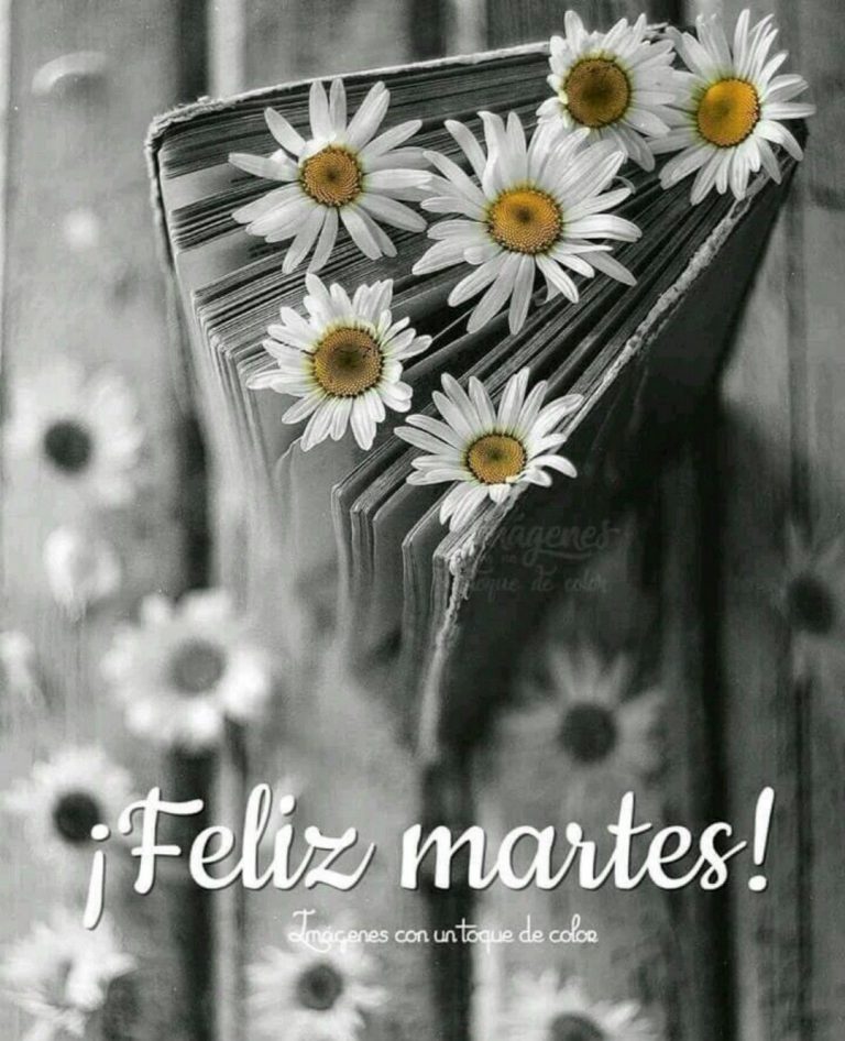 Buenos Dias Amor Feliz Martes