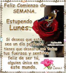 Buenos días amor mio feliz lunes para descargar gratis para celular