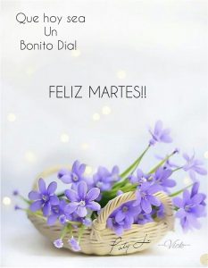 Buenos Dias Amor Mio Feliz Martes para celular