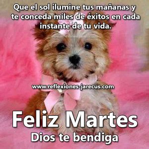 Buenos Dias Bendecido Martes Para Descargar Gratis