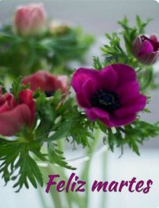 Buenos Dias Bendecido Martes Para Whatsapp Gratis