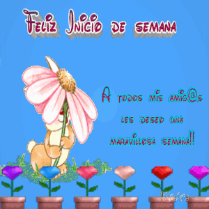 Buenos días bonito lunes