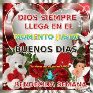 Buenos días bonito lunes para WhatsApp gratis