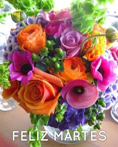 Buenos Dias De Martes Para Whatsapp Gratis