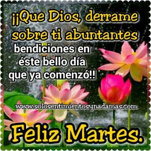 Buenos Dias Feliz Dia Martes Para Descargar Gratis para celular