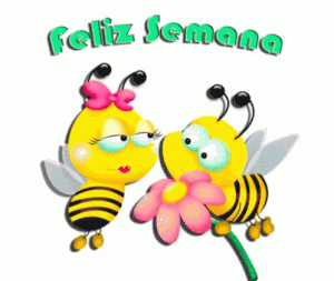 Buenos días feliz inicio de semana frases para WhatsApp celular