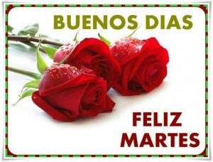 Buenos Dias Feliz Martes Dios Te Bendiga