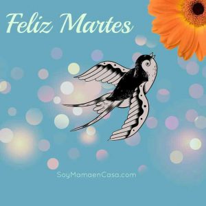 Buenos Dias Feliz Martes Mi Amor