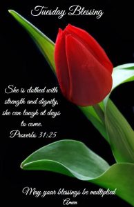 Buenos Dias Feliz Martes Santo Para Descargar Gratis