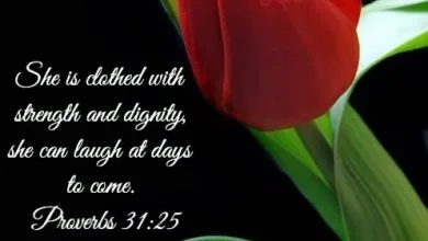 Photo of Buenos Dias Feliz Martes Santo Para Descargar Gratis