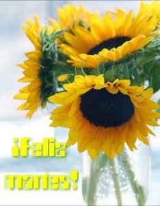 Buenos Dias Feliz Martes para celular