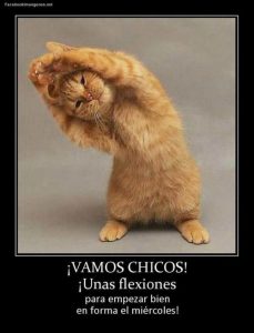 Buenos Dias Hoy Es Miercoles Para Whatsapp Gratis