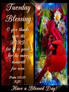 Buenos Dias Lindo Martes Bendiciones para celular