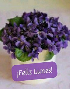 Buenos Dias Lunes Con Cafe Para Descargar Gratis