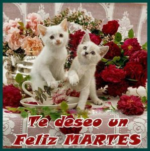 Buenos Dias Y Bendecido Martes Para Whatsapp Gratis