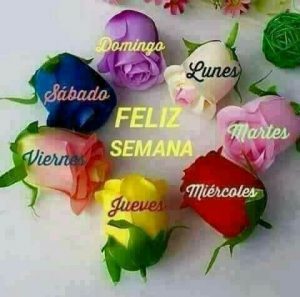 Buenos Dias Y Feliz Inicio De Semana