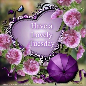 Buenos Dias Y Feliz Martes Para Descargar Gratis para celular