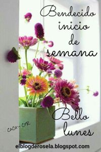 Buenos días feliz inicio de semana para WhatsApp celular