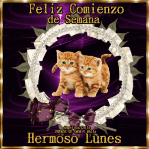 Buenos días feliz lunes para todos para celular