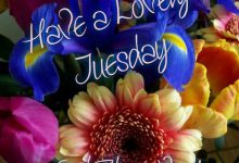 Photo of Buenos Días Feliz Martes Bendiciones para celular