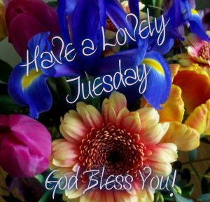 Buenos días feliz martes bendiciones para celular