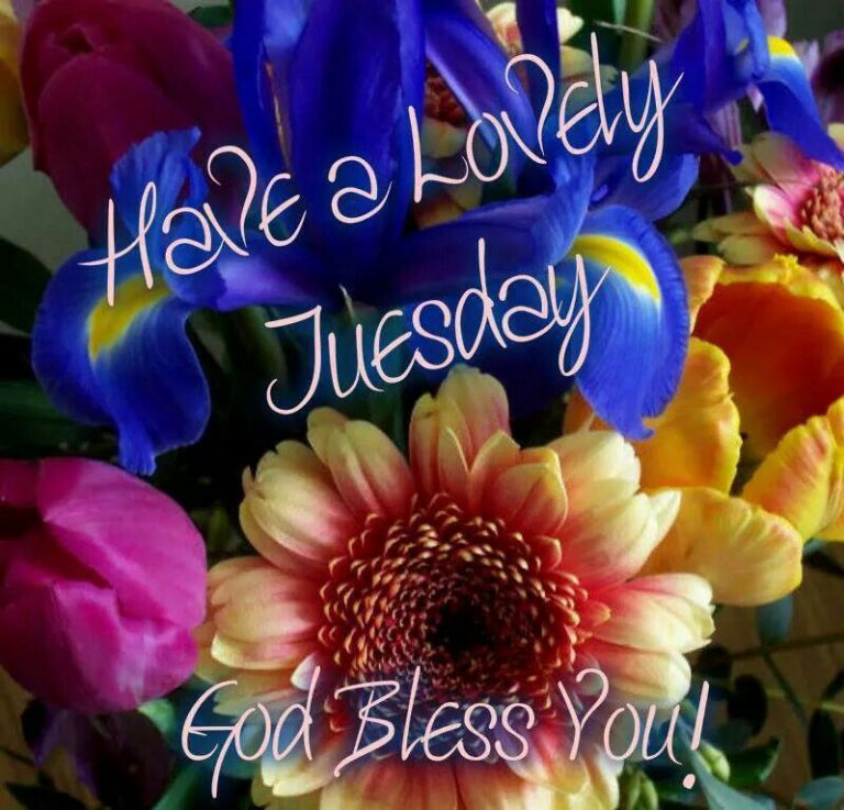 Buenos Días Feliz Martes Bendiciones para celular
