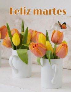 Buenos días hermoso martes para descargar gratis