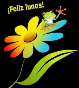 Buenos días para el lunes para descargar gratis para celular