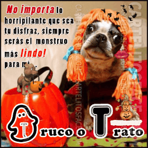 Dibujos de halloween faciles y bonitos