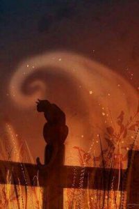 Dibujos De Halloween Para Calcar