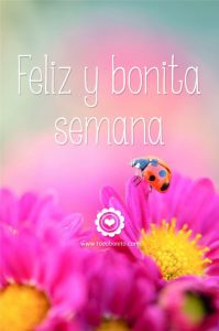 Excelente Inicio De Semana Con Movimiento Para Whatsapp Celular