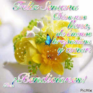 Excelente lunes e inicio de semana para WhatsApp celular