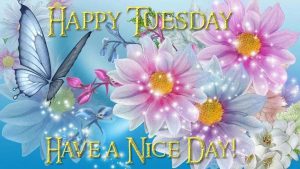 Feliz Dia Martes Frases Para Descargar Gratis para celular