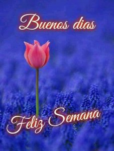 Feliz Inicio De Semana Buenos Dias Para Whatsapp Celular