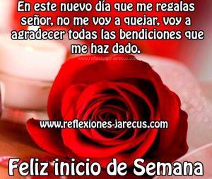 Feliz inicio de semana buenos días