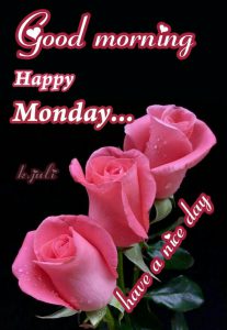 Feliz Inicio De Semana Frases Para Whatsapp Celular