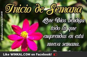 Feliz Inicio De Semana Frases Positivas Para Whatsapp Celular